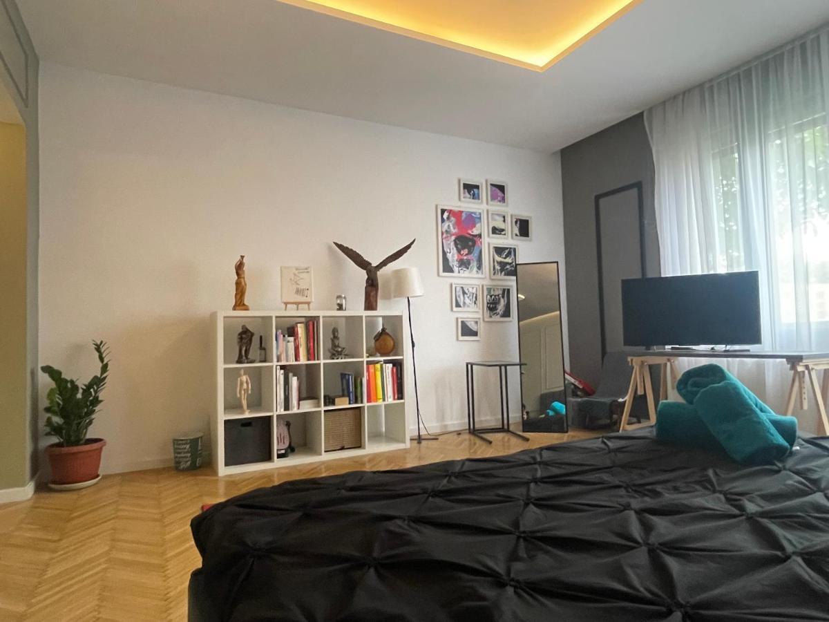 New Opera Studio Old City Center Self Check In Apartment Timisoara Ngoại thất bức ảnh